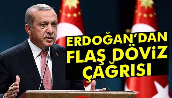 Erdoğan'dan döviz çağrısı