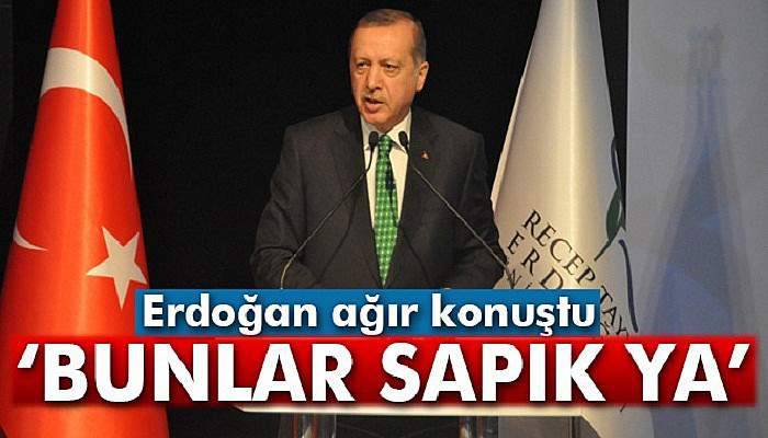 Erdoğan'da sert tepki: 'Bunlar sapık ya'