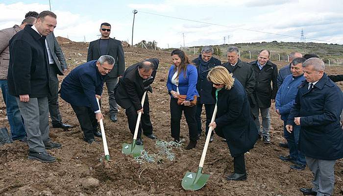 25. Yıl Anısına Zeytin Ağacı Hatıra Ormanı