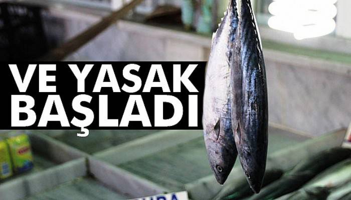  Denizlerde av yasağı başladı 