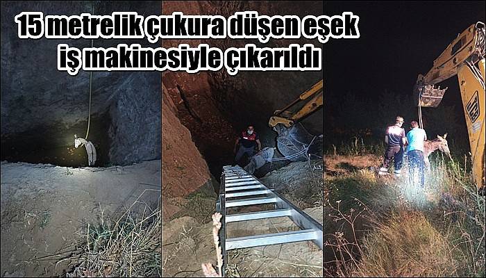 15 metrelik çukura düşen eşek, iş makinesiyle çıkarıldı