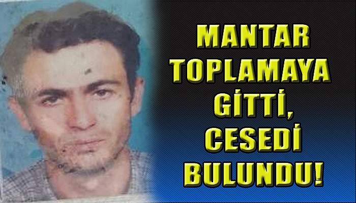  Mantar toplamaya gitti, cesedi bulundu