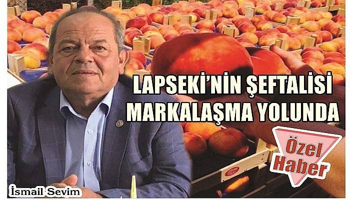 “Lapseki şeftalisine ihracatçılardan yoğun talep var”