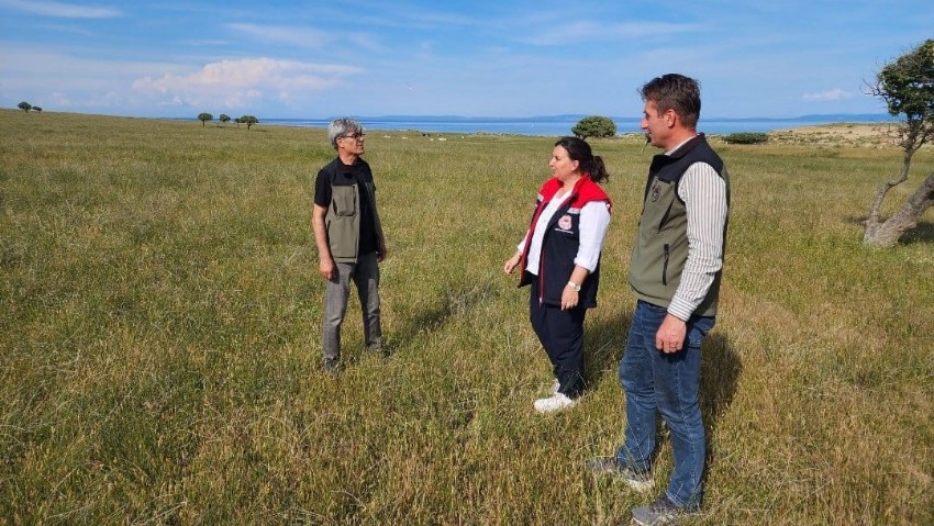 Çanakkale İl Tarım ve Orman Müdürü Türkarslan, Gökçeada İlçesinde İncelemelerde Bulundu