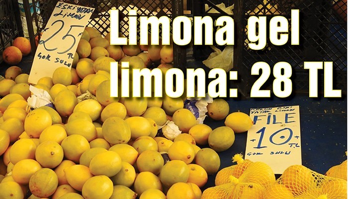 Limona gel limona: 28 TL