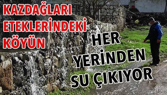 Hayat suların içinde geçiyor! (VİDEO)