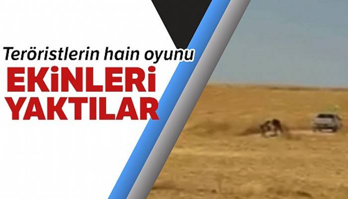 PKK/PYD terör örgütünün halkın ekinlerini yakma anı görüntülendi