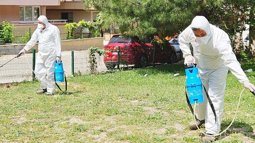 Kepez Belediyesi’nden Kene ve Pire İlaçlama Çalışması