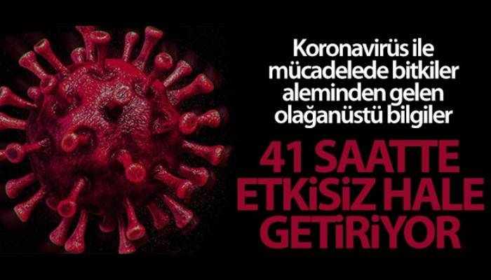 Korona virüsüne karşı kritik çözüm: 41 saatte etkisiz hale getiriyor (VİDEO)