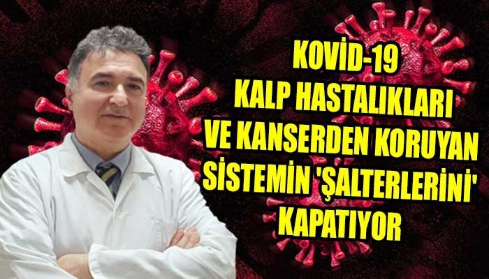 Ödüllü araştırma ilk kez ortaya çıkardı (VİDEO)