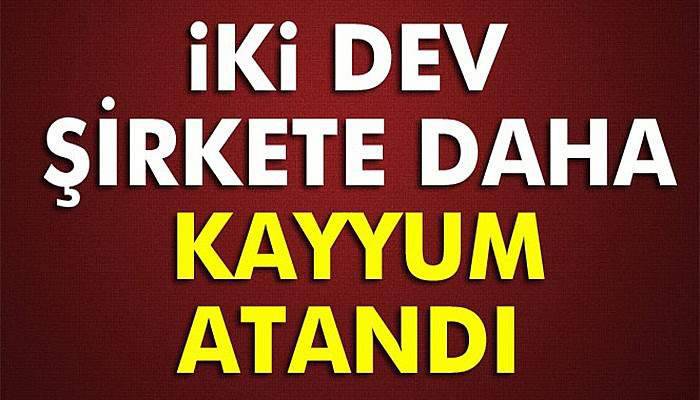 İki dev şirkete kayyum atandı