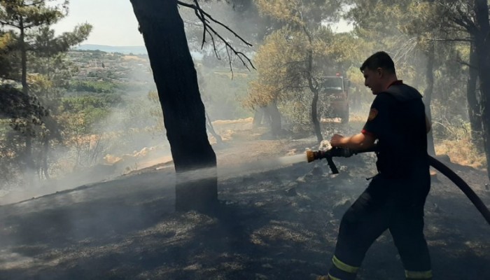 Musaköy yakınlarında orman yangını!