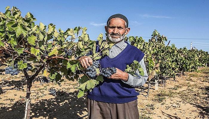 9 bin 341 aileye ORKÖY desteği