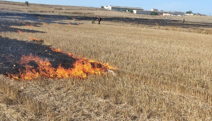 Biga'da 700 dönüm anız yandı