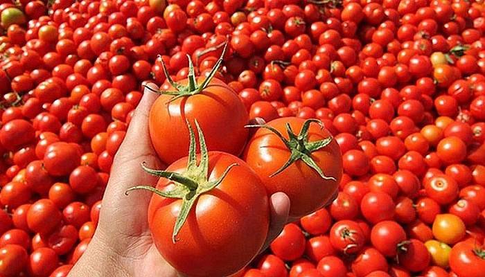 Kasım ayının zam şampiyonu belli oldu