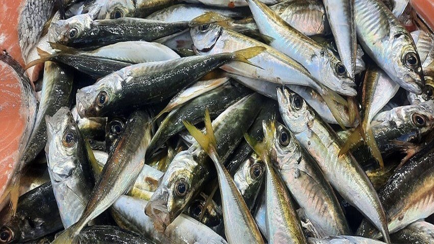 Fırtına balık fiyatlarını uçurdu