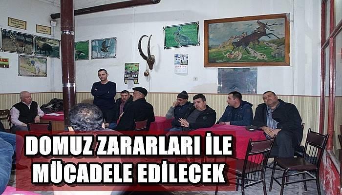 Domuz Zararları İle Mücadele Edilecek