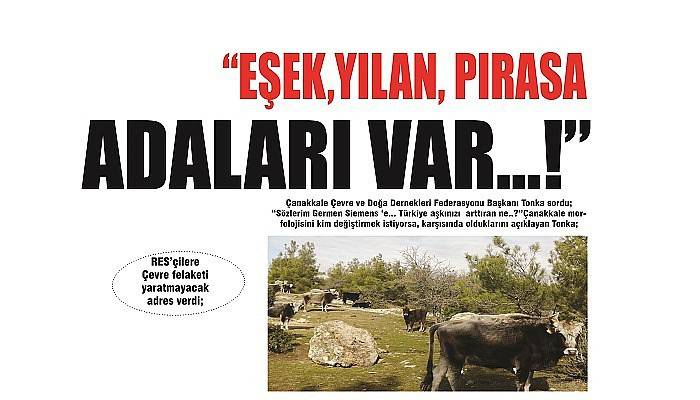 “EŞEK,YILAN PIRASA ADALARI VAR...!”