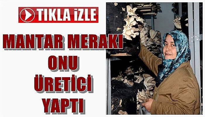 Mantar Merakı Onu Üretici Yaptı