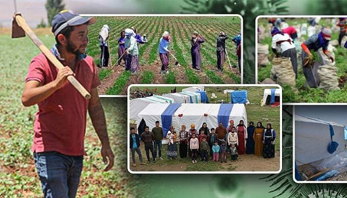 Tarım işçilerine koronavirüs tedbiri!