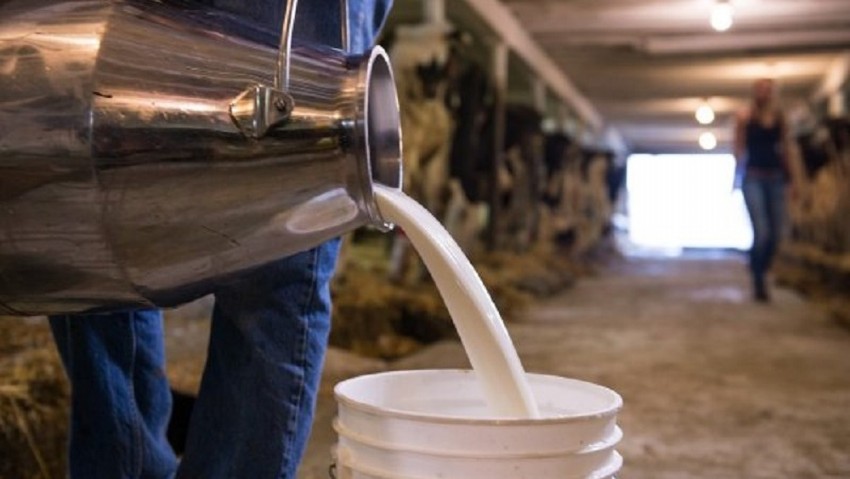 Ticari Süt İşletmelerince 823 Bin 967 Ton İnek Sütü Toplandı