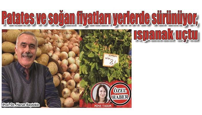 Patates ve soğan fiyatları yerlerde sürünüyor, ıspanak uçtu