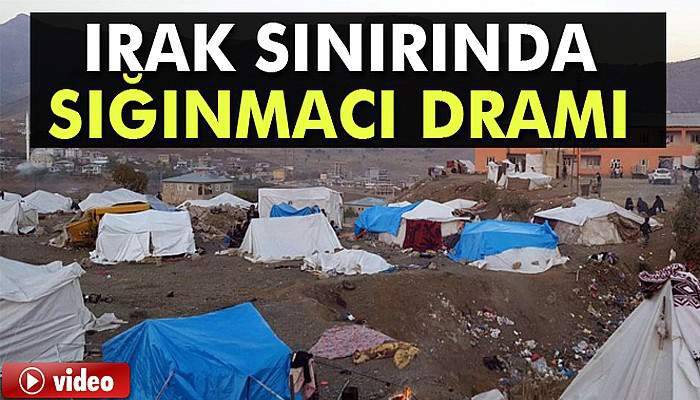 Irak sınırında sığınmacı dramı