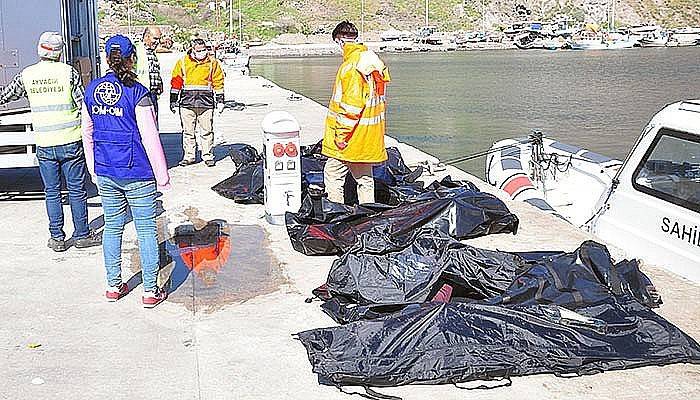  Cansız bedenler denizden toplandı