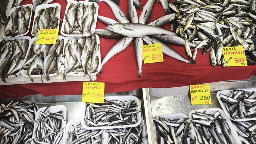 Hamsi ve Sardalye 250 Liraya Düştü