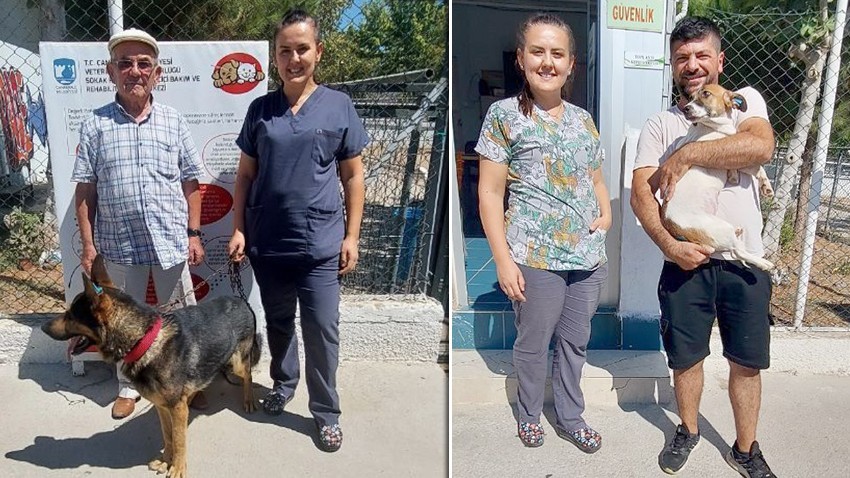 Barınaktaki hayvanlar sahiplendiriliyor