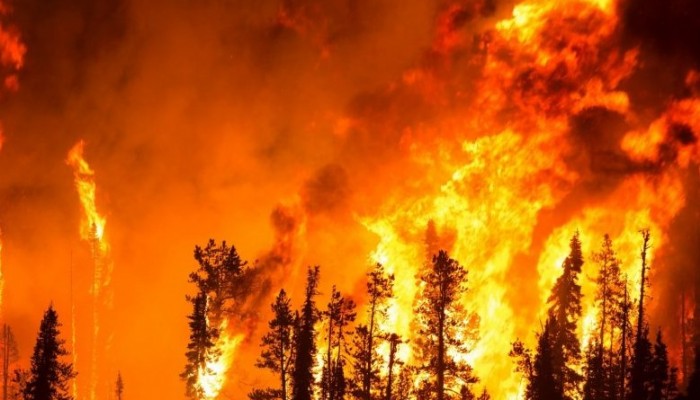 Bayramiç Orman’dan Vatandaşlara Yangın Uyarısı