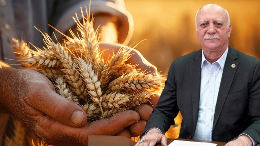 Buğday Üretim Sezonu Başladı (videolu)