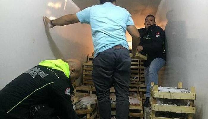 Çanakkale'de kaçak su ürünleri avcılığına geçit yok