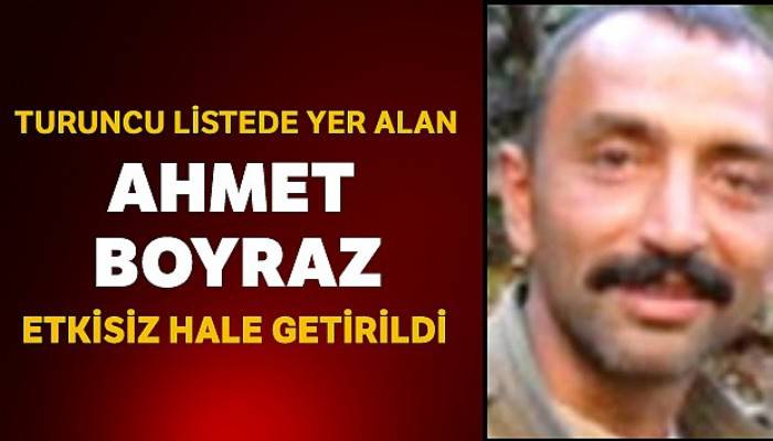 Erzincan'da Turuncu Liste'de yer alan terörist etkisiz hale getirildi