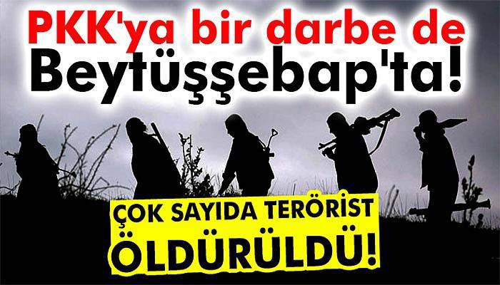 Şırnak’ta 11 terörist öldürüldü