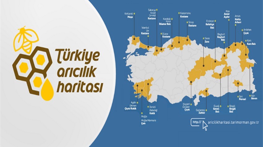 Arıcılık Haritasına Flora Çeşitliliği, Bitki Çiçeklenme Dönemleri ve Bal Ormanları Eklendi