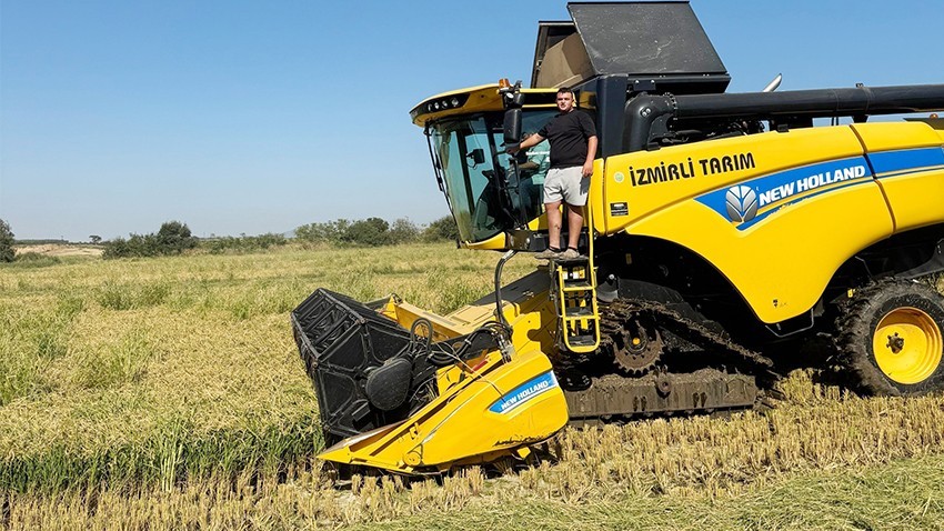 Biga’da Çeltik Hasadı Başladı: Zorlu Sezonun Mutlu Sonu