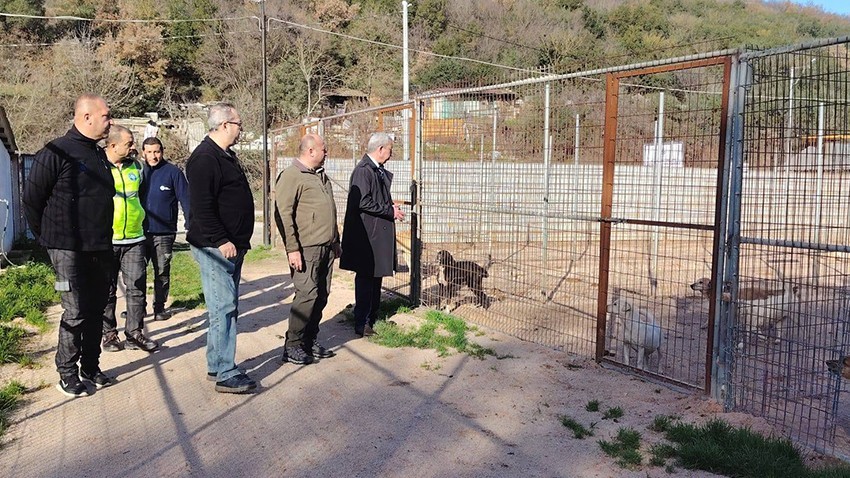 Sokak Hayvanları Merkezleri Denetlendi