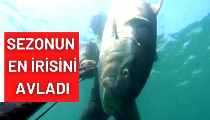 Sezonun en irisini avladı! (VİDEO)