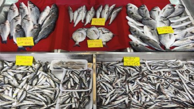 Hamsinin Kilosu 500 Lira Oldu
