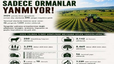 Orman Dışı Yangınların Tarımsal Zararı 484 Milyon TL'yi Aştı