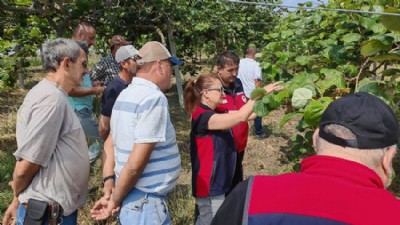 Çanakkale’de 2 Binin Üzerinde Samuray Arısı Doğaya Salındı
