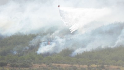 Gelibolu-Eceabat Yangınında Binlerce Hektarlık Orman Küle Döndü