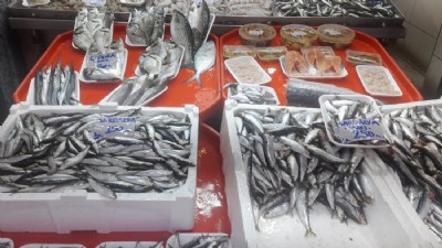 Tezgâhların Gözdesi Yine Sardalye Oldu