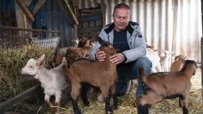Emeklilikte Başlayan Keçi Serüveni Gelir Kapısına Dönüştü