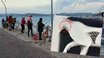Çanakkale’de olta balıkçılarına uyarı!