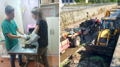 Küçükkuyu Yaz Sezonuna Hazırlanıyor