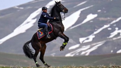 Van Jandarma Komutanlığı, Atlı Birimleriyle Bölgenin Güvenliğini Sağlıyor