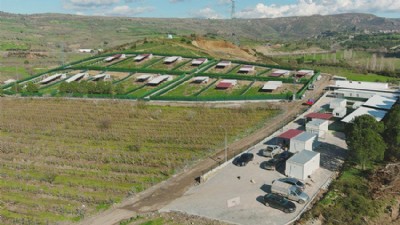 Sahipsiz Hayvan Çalışmaları Hedefi Aştı