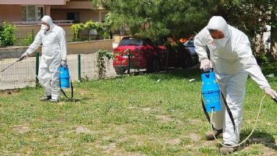 Kepez Belediyesi Sağlık ve Çevre Bilincini Arttırıyor: Kene ve Pire İlaçlama Çalışmaları Devam Ediyor